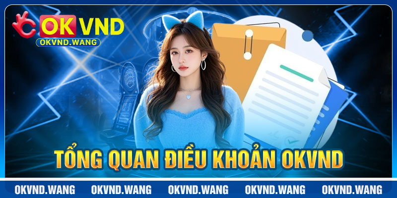 Điều Khoản OKVND: Quy Định Minh Bạch